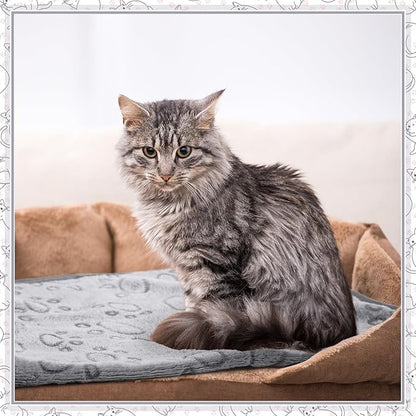Tegeme 12 Pcs Pet Blankets Soft Fluffy Fleece Dog Cat Warm Paw Print Pattern Blankets Flannel Throw for Pets Dog Puppy Cat(23 x 16 Inch,Gray)