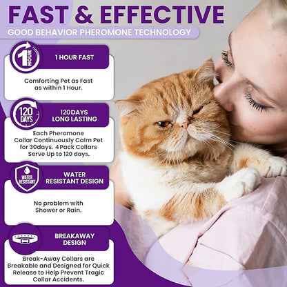 Pheromone Calming Collar for Cats: Breakaway Cat Calming Collar for Anxiety, Separation Stress, Multicat Aggression, Spraying, Meowing - for Indoor Use, Moving & Travel (M Purple)