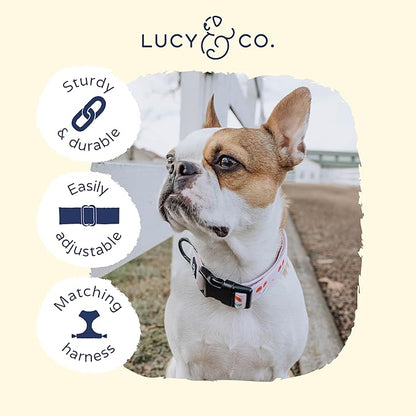 Lucy & Co. Cheery Cherries Dog Collar - Durable Lightweight Designer Collar for Pets - Adjustable Metal Safety Buckel - Red Gingham Cherries – Large