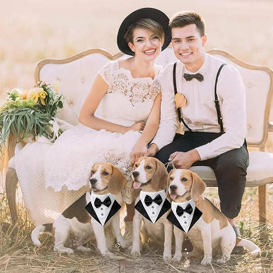ADOGGYGO Formal Dog Tuxedo Wedding Puppt Bandana Collar with Bow Tie, Adjustable Pet Bowtie Collar Bandana for Small Dogs (Small)