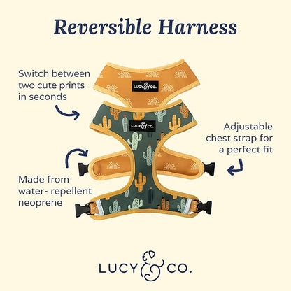 Lucy & Co. Looking Sharp, Cute Reversible Dog Harness Walking Halter - Best Designer Pet Harnesses for Medium Dogs - Padded Adjustable Vest for Easy Walking (X-Small)