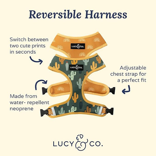 Lucy & Co. Looking Sharp, Cute Reversible Dog Harness Walking Halter - Best Designer Pet Harnesses for Medium Dogs - Padded Adjustable Vest for Easy Walking (X-Small)