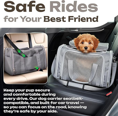Pet Carrier for Cats, Rabbits, Guinea Pigs – Airline Approved Soft-Sided Travel Bag, Lightweight Dog Carrier, Ventilated & Foldable (Grey, Medium)