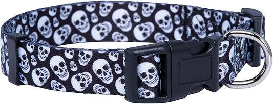 Native Pup Skull Dog Collar for Halloween (Medium, Skulls)