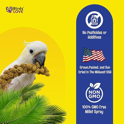 Birds LOVE Economy Special Spray Millet | GMO-Free (No Stems Only Edible Tops) for Birds Cockatiel, Lovebird, Parakeet, Finch, Canary All Parrots Healthy Treat 7 oz -Pack of 2
