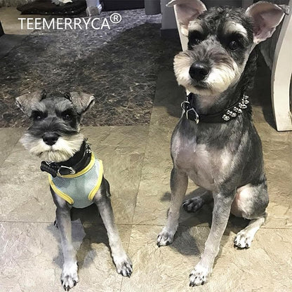 TEEMERRYCA Adjustable Microfiber Leather Spiked Studded Dog Collars with a Squeak Ball Gift for Small Medium Large Pets Like Cats/Pit Bull/Bulldog/Pugs/Husky, Black, XXL 19.7-22.4 inches