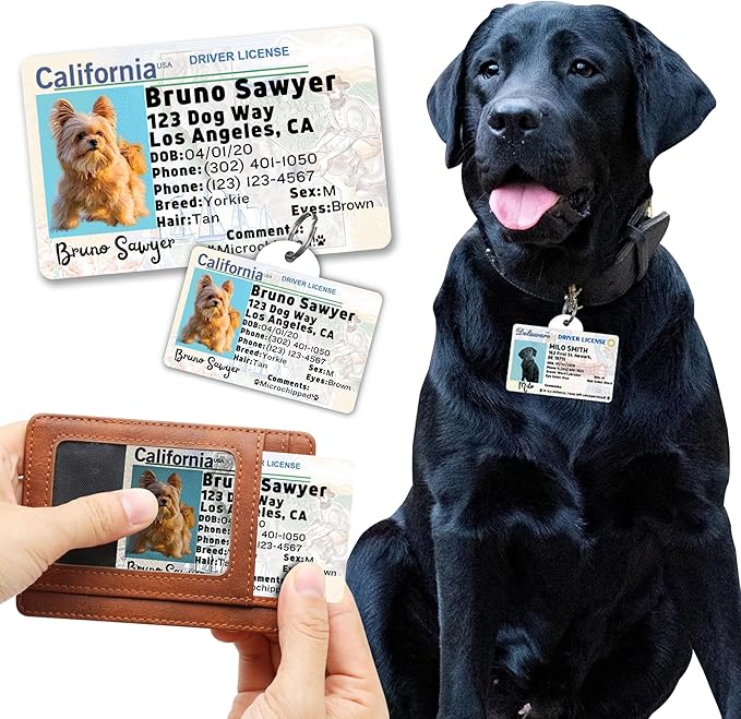 PawFurEver Personalized Dog Driver License ID Tag for Dogs & Cats - Custom Pet License Dog ID Tags Personalized Heavy Duty with Name, Photo & Phone Number, 50 States + DC (Southdakota, Wallet Card)