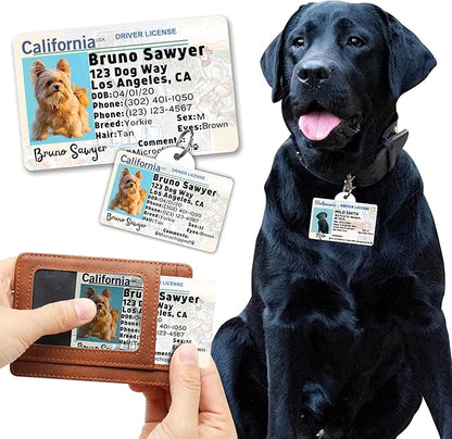 PawFurEver Personalized Dog Driver License ID Tag for Dogs & Cats - Custom Pet License Dog ID Tags Personalized Heavy Duty with Name, Photo & Phone Number, 50 States + DC (Minnesota, Wallet Card)