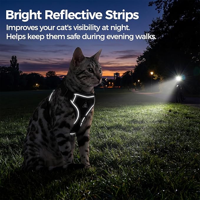 Cat Harness and Leash Set Escape Proof Tactical Medium Kitten Harness Emotional Support Cat Vest, Black, M