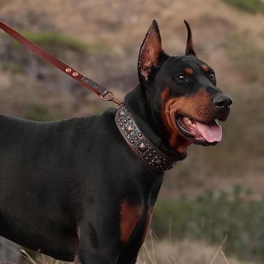 PET ARTIST Upgrade Padded Leather Dog Collar, 2 inch Wide Genuine Leather Dog Collars with Strong Studded Rivet & Metal Buckle, Adjustable Large Dog Collar for Pit Bull Doberman,Black,Neck 19-22"