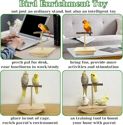 Natural Wood Bird Perch Stand Training, Quaker Parrot Toys, Intelligence Puzzle Enrichment Toys for Parakeets, Wooden Parrot Perch Platform for Large Birds, Bird Playground Play Stands for Sun Conure