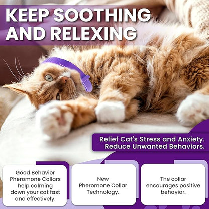Pheromone Calming Collar for Cats: Breakaway Cat Calming Collar for Anxiety, Separation Stress, Multicat Aggression, Spraying, Meowing - for Indoor Use, Moving & Travel (M Purple)