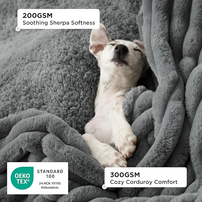 Bedsure ComfyFleece™ Waterproof Dog Blankets for Small Dogs - Soft Puppy Cat Blanket Corduroy Fleece Washable, Cozy Calming Reversible Furniture Protection for Pet Kitten Doggy,25"x35", Warm Grey