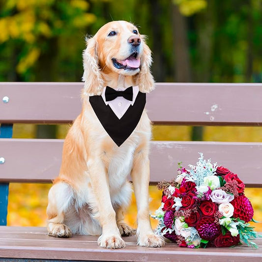 ADOGGYGO Formal Dog Tuxedo, Wedding Dog Collar with Bow Tie, Adjustable Pet Wedding Collar Bandana for Small Medium Large Dogs (Large, Black)