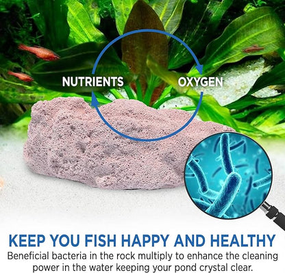 Fish Tank Rocks for Enhancing Water Clarity with Your Regular Cleaning Routine, Fish Friendly Aquarium Rocks, All Natural Aquarium Decor, Medium, Covers 750-1,500 Gallons