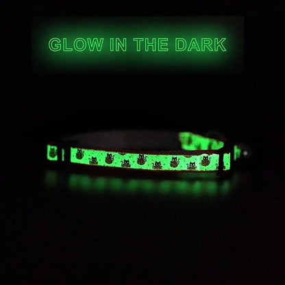 Pawtitas Halloween Cat Collars for Cats Adjustable Collar Glow in The Dark Feature and Safety Breakaway Buckle and Removable Bell to Match Your Halloween Cat's Costume - Orange Pumpkins Pattern