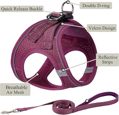 Dog Harness with Leash Set, No Pull Adjustable Reflective Step-in Puppy Pet Vest Harnesses for Small Medium Large Dogs and Cats,Cranberry S