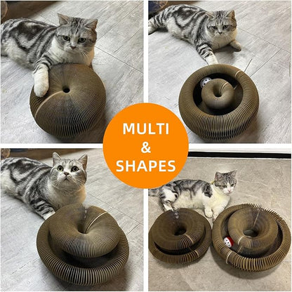 2 Pcs Kitty Kurls Cat Toy Magic Organ Cat Scratching Board, Foldable & Reversible Infinity Style Interactive Kitty Kurlz Cat Scratcher for Indoor Cats Twisty Paws Cat Toys, Kitten Cats Accordion Toy