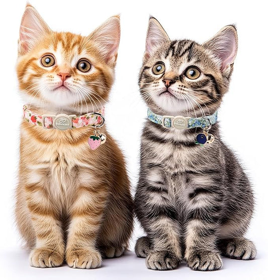 2 Pack Spring Summer Cat Collars - Cute Breakaway Cat Collar with Bell, Bluberry and Strawberry Pendant, Adjustable Kitten Collars for Girl Cats, Pastel Floral Fruit