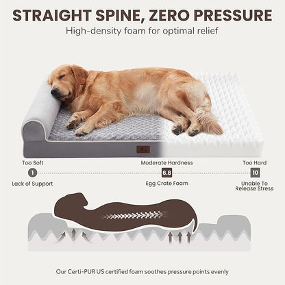 Large Dog Beds Large Sized Dogs 45x35x7 Inch, Orthopedic XXL XL Dog Bed for Medium Size Dogs, Big Waterproof Couch Sofa with Removable Washable Cover for Pet, Light Grey