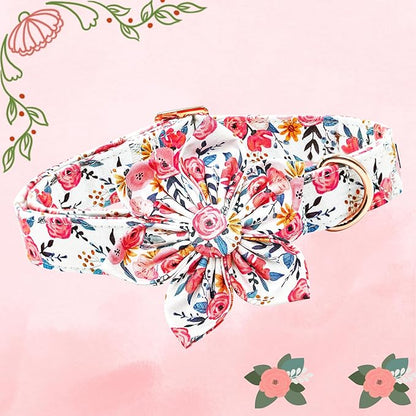 Lionheart Glory Floral Dog Collar - Soft, Durable & Adjustable for Small Dogs