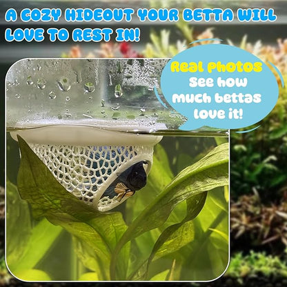 Pink Floating Betta Hide & Shrimp Cave – 3D Printed Aquarium Hammock, Feeding Ring & Resting Spot for Betta Fish, Shrimp & Small Fish (Eco-Safe PLA)