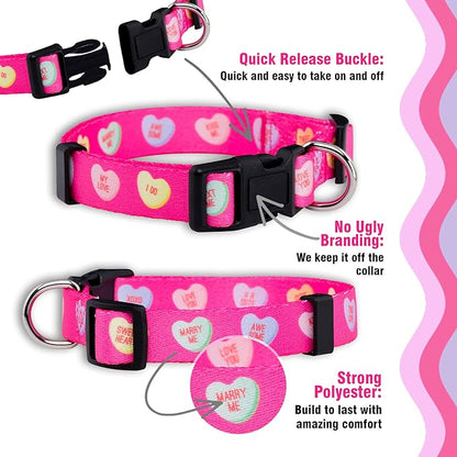 Native Pup Valentine’s Dog Collar- Valentines Day Pet Collars- Valentine Girly Hearts- Pink Red Heart- Cute Boy Girl Puppy Gift- Adjustable for Small, Medium, Large Breeds (Candy Hearts, Small)