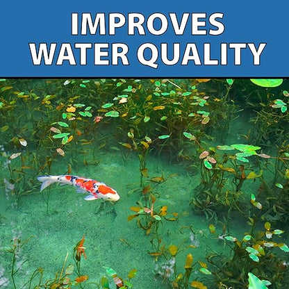 CrystalClear MuckOff, Natural Pond Muck Treatment, Water Garden, Fountain & Bird Bath Sludge Remover, Living Beneficial Bacteria Clarifier with Enzyme, Fish, Aquatic Animal, & Pet Safe, 24 Tablets
