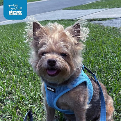 Best Pet Supplies Voyager Step-in Air Harness - All Weather Mesh, Reflective, No Pull Harness for Dogs, Cats - Secure with Hook & Loop Fastener, Buckle, Double D-Rings - Baby Blue, XL