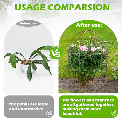 NNG 26 Inch Bird Cage Plant Support, Metal Grow Through Flower Trellis Cage with Dome Top, Garden Plant Support for Peonies Hydrangeas Tomatoes and Climbing Vines