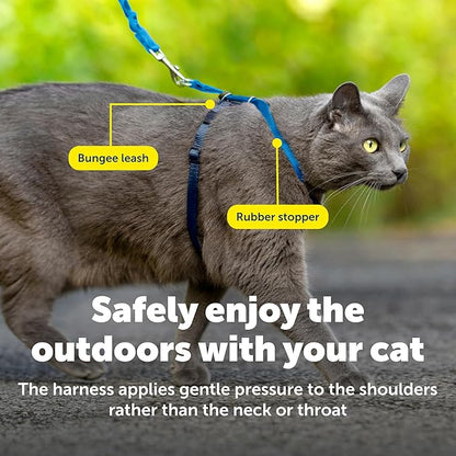 PetSafe Come With Me Kitty Cat Harness & Bungee Leash - Comfortable Cat Harness with Lightweight Bungee Leash for Outdoor Fun - More Secure Walks - Medium - Royal Blue