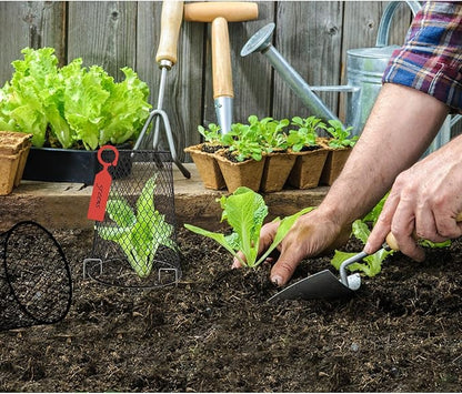 10 Pcs 6.8"×7.4" (Multiple Sizes/Quantities Available) Seedling Plant Protectors from Animals, Chicken Wire Plant Cage Garden Cloche to Protect Plants Vegetables from Rabbits Squirrels Chicken