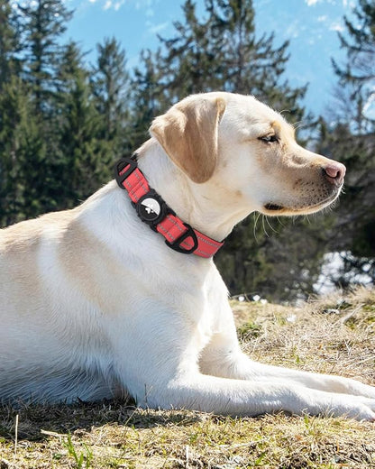 Joytale Airtag Dog Collar, Reflective Pet Collar with Waterproof AirTag Holder, Dual D-Rings, Soft Padded Adjustable for Medium Dogs, Neon Pink, M