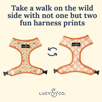 Lucy & Co. Cute Reversible Dog Harness Walking Halter - Best Designer Pet Harnesses for XS - XL Dogs - Padded Adjustable Vest for Easy Walking-XLarge-Orange Cream Pumpkin