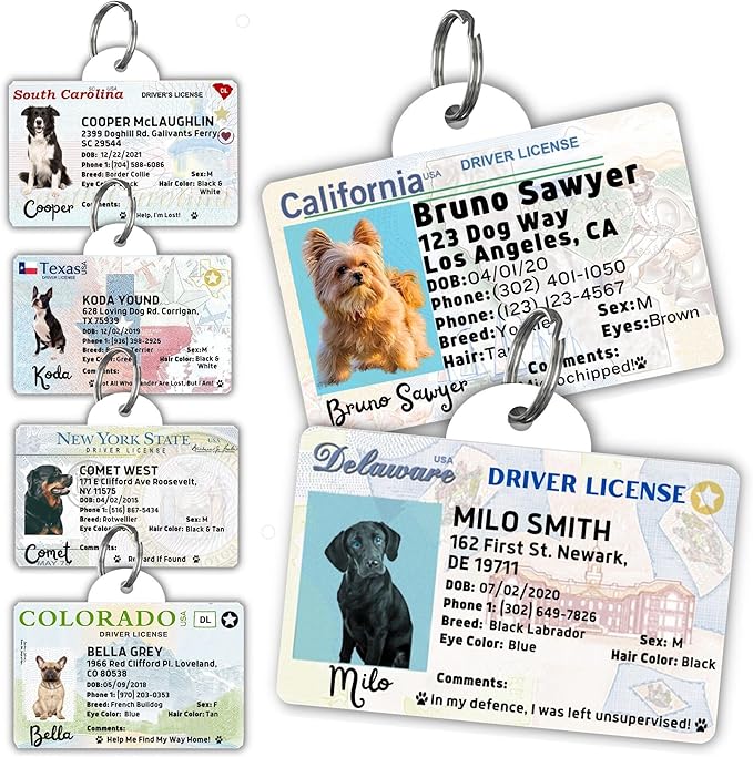 PawFurEver Personalized Dog Driver License ID Tag for Dogs & Cats - Custom Pet License Dog ID Tags Personalized Heavy Duty with Name, Photo & Phone Number, 50 States + DC (Nebraska, Tag)