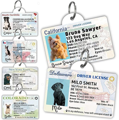 PawFurEver Personalized Dog Driver License ID Tag for Dogs & Cats - Custom Pet License Dog ID Tags Personalized Heavy Duty with Name, Photo & Phone Number, 50 States + DC (Northcarolina, Tag)