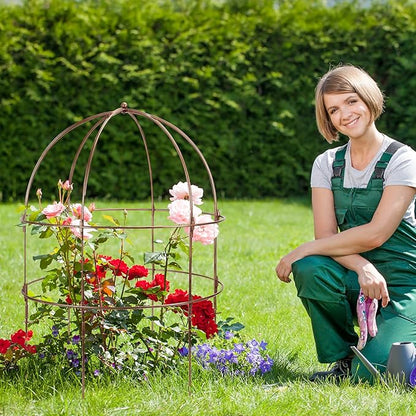 NNG 26 Inch Bird Cage Plant Support, Metal Grow Through Flower Trellis Cage with Dome Top, Garden Plant Support for Peonies Hydrangeas Tomatoes and Climbing Vines