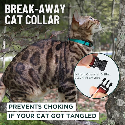 OutdoorBengal Red Cat Collar Breakaway with Soft Padding for Medium to Large Cats - Durable Heavy Duty Tactical Fabric, Comfortable, Quick Release Breakaway Cat Collars, No Bell Collar (Red, Adult)