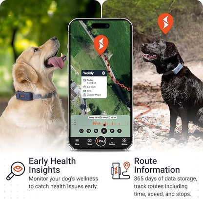 PAJ GPS Dog Tracker - 4G Real-Time Tracking & Runaway Alerts - Waterproof, Long-Range, Smart App Monitor Health & Activity - Fits Any Collar, Mini Device Navigator Chip - Subscription Required - Blue