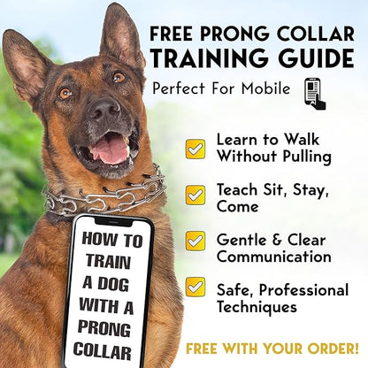 PetJett Prong Collar for Dogs - Choke Collar for Dogs, Pinch Collar for Dog, Adjustable Training Collar & Walking Tool for Small, Medium, or Large Breed - No Pull Stainless Steel Metal Choker Chain