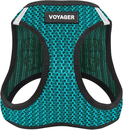 Best Pet Supplies Voyager Step-in Air Harness - All Weather Mesh, Reflective, No Pull Harness for Dogs, Cats - Secure with Hook & Loop Fastener, Buckle, Double D-Rings - Turqupise 2-Tone, XS