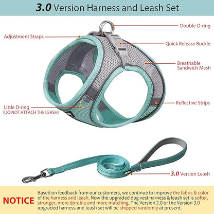 AIITLE Escape Proof Dog Harness - Step in Adjustable Dog Harness No Choke Over with Breathable Mesh and Quick-Release Buckle for All Weather- Outdoor Walking, Training for Medium Dogs Turquoise XL