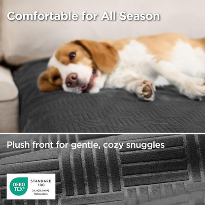 Bedsure Waterproof Couch Cover for Dogs Washable - Waterproof Blanket for Large Dogs Couch Sofa Cozy, Lightweight Furniture Protector for Pet Cat Quick Drying Puppy, Charcoal, 40x50IN