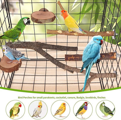 12PCS Natural Wood Bird Perches for Cage, Parrot Perch Stand & Platform, Bird Cage Accessories - Multi-Size Perches for Parakeets, Cockatiels, Conures, Lovebirds
