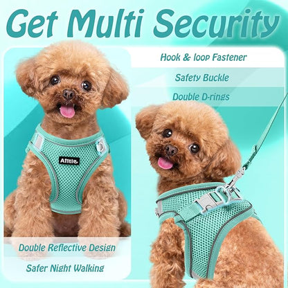 AIITLE Small Harness for Puppy with A Leash - Dog Vest Harness with Super Breathable Mesh, Reflective No-Pull Pet Harness for Outdoor Walking, Running for Small Dogs, Cats Pure Turquoise XXS