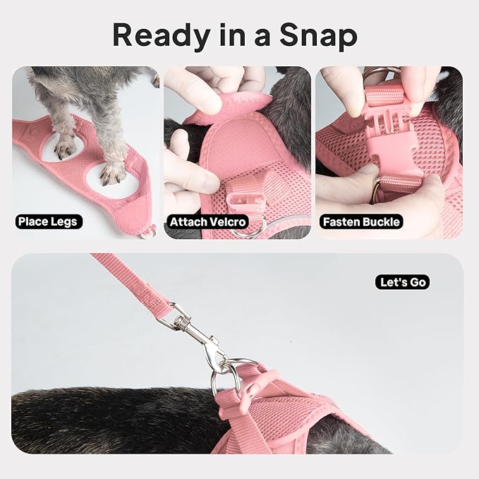 PetiFine Step in Small Dog Harness and Leash Set, Breathable All Weather Air Mesh Reflective Escape Proof, Step-in Vest Harnesses for Puppy(S, Pink)