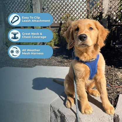 Best Pet Supplies Voyager Step-in Air All Weather Mesh Harness and Reflective Dog 5 ft Leash Combo with Neoprene Handle, for Small, Medium and Large Breed Puppies - Set (Royal Blue), XXS