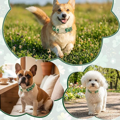 St. Patrick's Day Dog Collar,Green Clover Lucky Shamrock Puppy Collar,Adjustable Spring Cotton Collars Gifts for Small Medium Large Dogs,Dog Accessories L