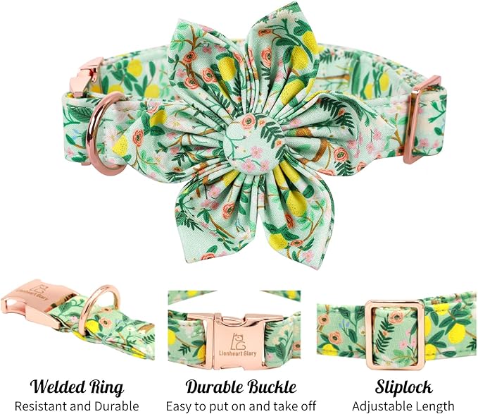 Lionheart Glory Cute Lemon Floral Pattern Adjustable Dog Collar for X-Large Dogs
