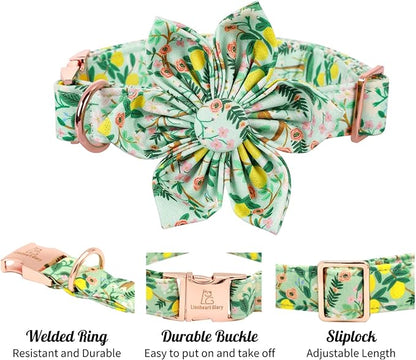 Lionheart Glory Cute Lemon Floral Pattern Adjustable Dog Collar for X-Large Dogs